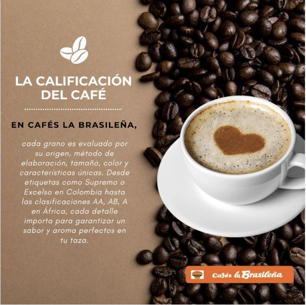 Café de especialidad Hotel Villava